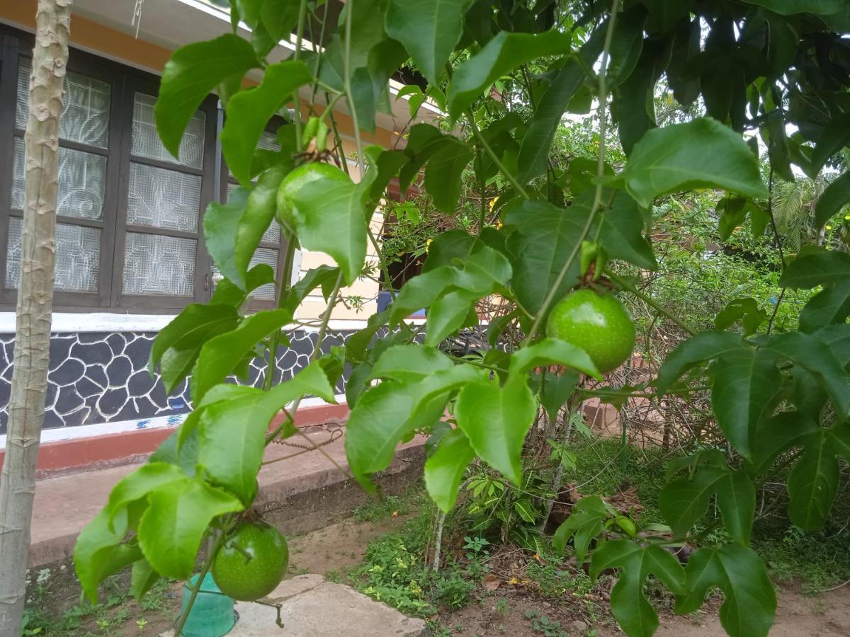 Sanaya Homestay Tangalle Eksteriør bilde